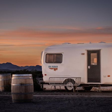 Tarantula Ranch Campground & Vineyard Near Death Valley National Park อามาร์โกซา แวลลีย์ ภายนอก รูปภาพ