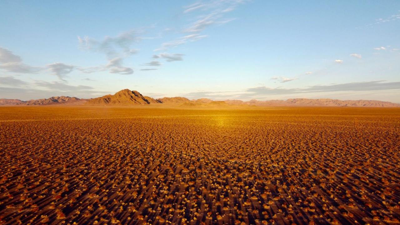Tarantula Ranch Campground & Vineyard Near Death Valley National Park อามาร์โกซา แวลลีย์ ภายนอก รูปภาพ