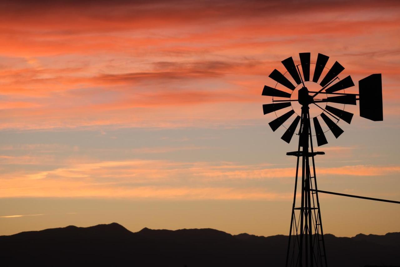 Tarantula Ranch Campground & Vineyard Near Death Valley National Park อามาร์โกซา แวลลีย์ ภายนอก รูปภาพ